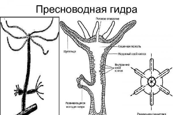 Как вернуть деньги с кракена